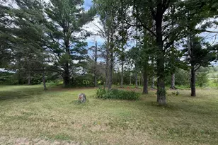 42869 County 2, Leonard, MN 56652 - Photo 26