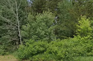 Lot 15 Pine St, Brainerd, MN 56401 - Photo 1