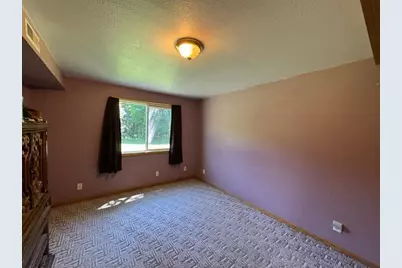 57890 425th Street, New York Mills, MN 56567 - Photo 36