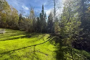 12219 Teufer Lake Road, Northome, MN 56661 - Photo 62