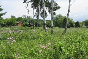 Lot 12 516th St, Menomonie, WI 54751 - Photo 1