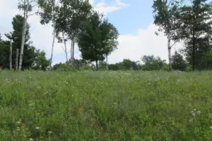 Lot 13 St, Menomonie, WI 54751 - Photo 1