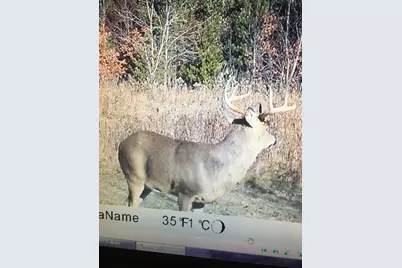 Xxx Bashaw Store Rd, Shell Lake, WI 54871 - Photo 6