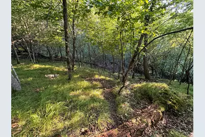 Tbd Sunset Trail, Welch Township, MN 55089 - Photo 24