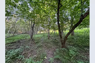 Tbd Sunset Trail, Welch Township, MN 55089 - Photo 34