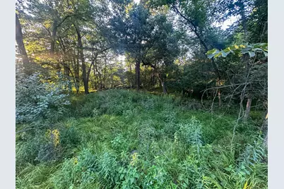 Tbd Sunset Trail, Welch Township, MN 55089 - Photo 14