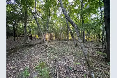 Tbd Sunset Trail, Welch Township, MN 55089 - Photo 38