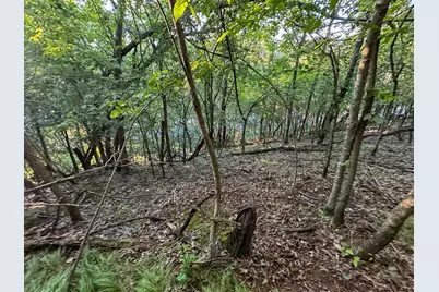 Tbd Sunset Trail, Welch Township, MN 55089 - Photo 22