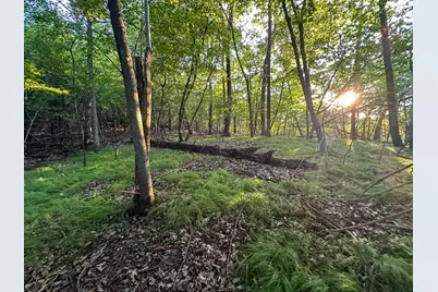 Tbd Sunset Trail, Welch Township, MN 55089 - Photo 40