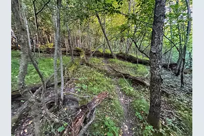 Tbd Sunset Trail, Welch Township, MN 55089 - Photo 26