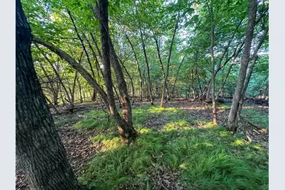 Tbd Sunset Trail, Welch Township, MN 55089 - Photo 42