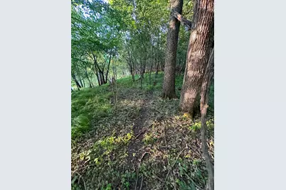 Tbd Sunset Trail, Welch Township, MN 55089 - Photo 16
