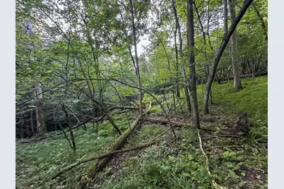 Tbd Sunset Trail, Welch Township, MN 55089 - Photo 32