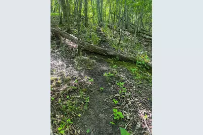Tbd Sunset Trail, Welch Township, MN 55089 - Photo 12