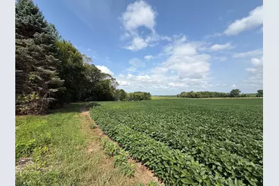 Lot A Lehigh Road, Cottage Grove, MN 55016 - Photo 2