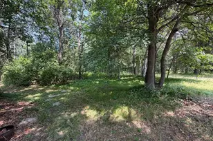 21920 County 2, Nevis, MN 56467 - Photo 26