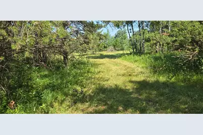 Tbd County Road 7, Verndale, MN 56481 - Photo 4