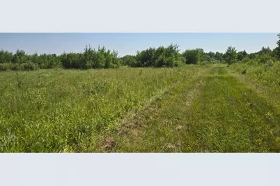 Tbd County Road 7, Verndale, MN 56481 - Photo 6