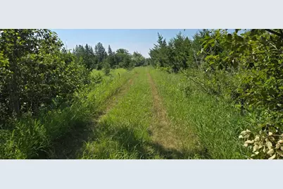 Tbd County Road 7, Verndale, MN 56481 - Photo 2