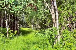 Tbd 21st Ave SW, Baudette, MN 56623 - Photo 1