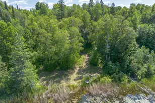 62038 Back Of The Bay Trl, Bigfork, MN 56628 - Photo 24
