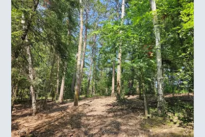 Tbd 330th Street, Shevlin, MN 56676 - Photo 8