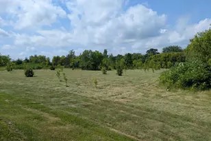 Xxxx 619th Ave, Oak Grove Township, WI 54011 - Photo 6