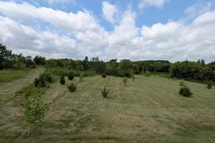 Xxxx 619th Ave, Oak Grove Township, WI 54011 - Photo 4