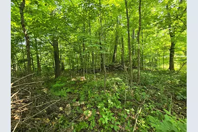 47138 Ringneck Roost, Garrison, MN 56450 - Photo 10