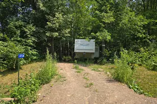 47138 Ringneck Roost, Garrison, MN 56450 - Photo 1