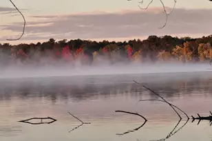 N8792 610th St, Colfax, WI 54730 - Photo 42