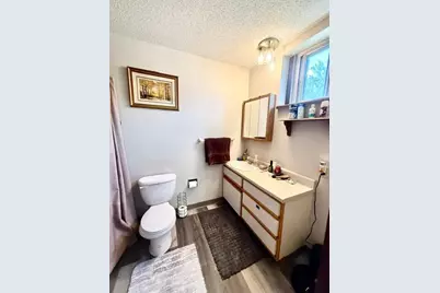 202 N Cass Avenue, Springfield, MN 56087 - Photo 10
