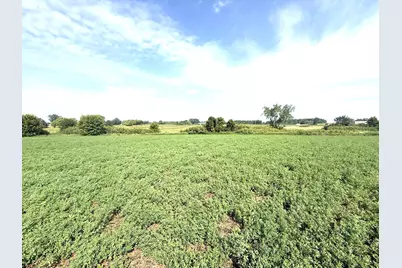 Tbd County Road 7, Howard Lake, MN 55349 - Photo 14