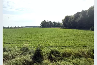 Tbd County Road 7, Howard Lake, MN 55349 - Photo 4