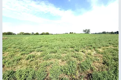 Tbd County Road 7, Howard Lake, MN 55349 - Photo 12