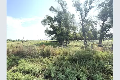 Tbd County Road 7, Howard Lake, MN 55349 - Photo 6