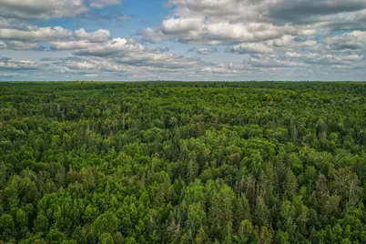Tbd 219th Avenue, Bemidji, MN 56601 - Photo 1