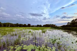 6483 Walleye Ln NW, Williams, MN 56686 - Photo 40