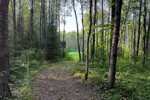 Xx County Rd 1, Emily, MN 56447 - Photo 1
