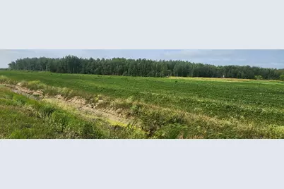 Tbd 340th Avenue NE, Goodridge, MN 56725 - Photo 1