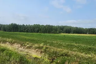 Tbd 340th Ave NE, Goodridge, MN 56725 - Photo 1