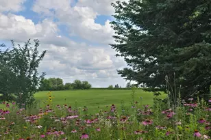 18123 Deer Rd, Lanesboro, MN 55949 - Photo 106
