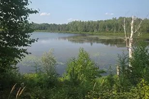 1423 Stone Lake Bridge Rd, Brimson, MN 55602 - Photo 18