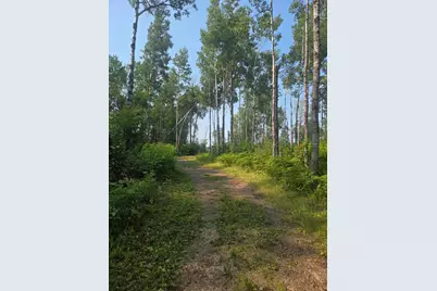 1423 Stone Lake Bridge Road, Brimson, MN 55602 - Photo 8