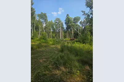 1423 Stone Lake Bridge Road, Brimson, MN 55602 - Photo 12