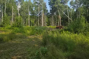 1423 Stone Lake Bridge Rd, Brimson, MN 55602 - Photo 12