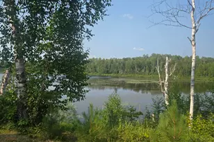 1423 Stone Lake Bridge Rd, Brimson, MN 55602 - Photo 16