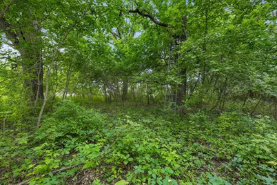 Tbd 350th Street, Shafer, MN 55074 - Photo 8