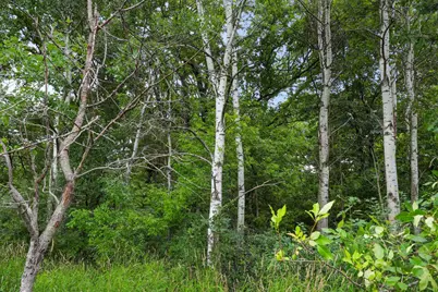 Tbd 350th Street, Shafer, MN 55074 - Photo 10