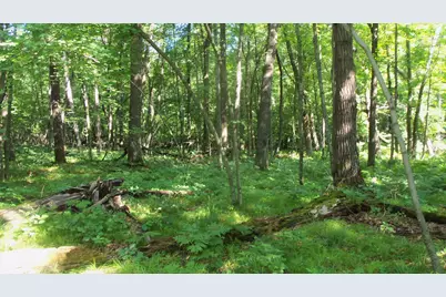 Lot 2 Howard Johnson Trl, Siren, WI 54872 - Photo 4